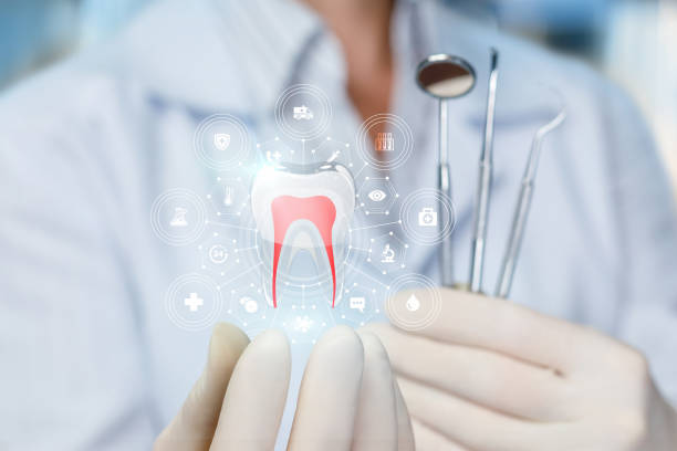 Professional Holistic Dental Care Services in Lodi, CA